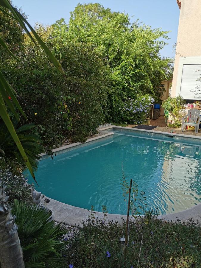 Appartement En Sous Sol De Villa Avec Acces Jardin Et Piscine Marseille Eksteriør billede